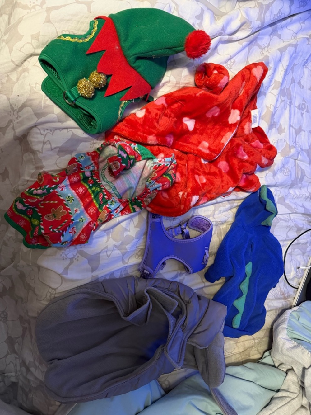 Assorted Holiday and Cozy Pet Apparel - Green, Red, Purple, Blue, Gray